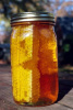 **RARE TREAT** Pure Raw TUPELO Honey Comb - 1 lb Glass Jar